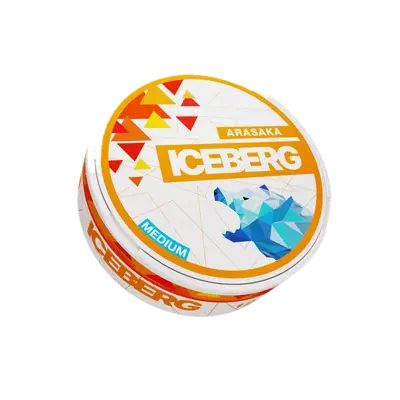 ICEBERG Arasaka
