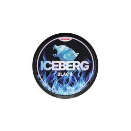 ICEBERG logo