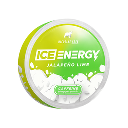 ICE logo