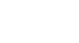 iNIC logo