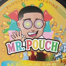 Mr. Pouch logo