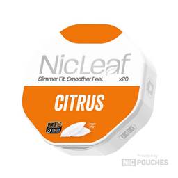 NicLeaf logo