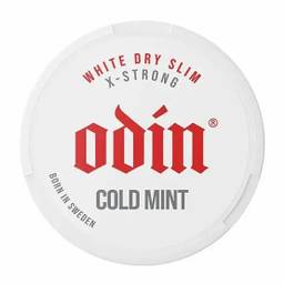 ODIN logo