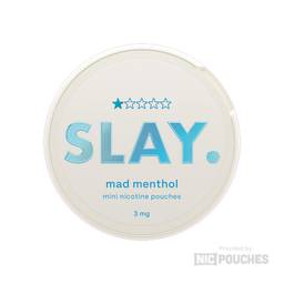 SLAY logo
