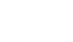 VALØ logo