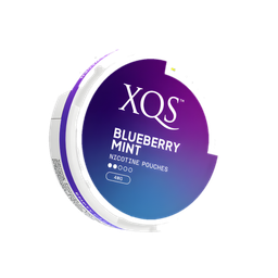 XQS Blueberry Mint