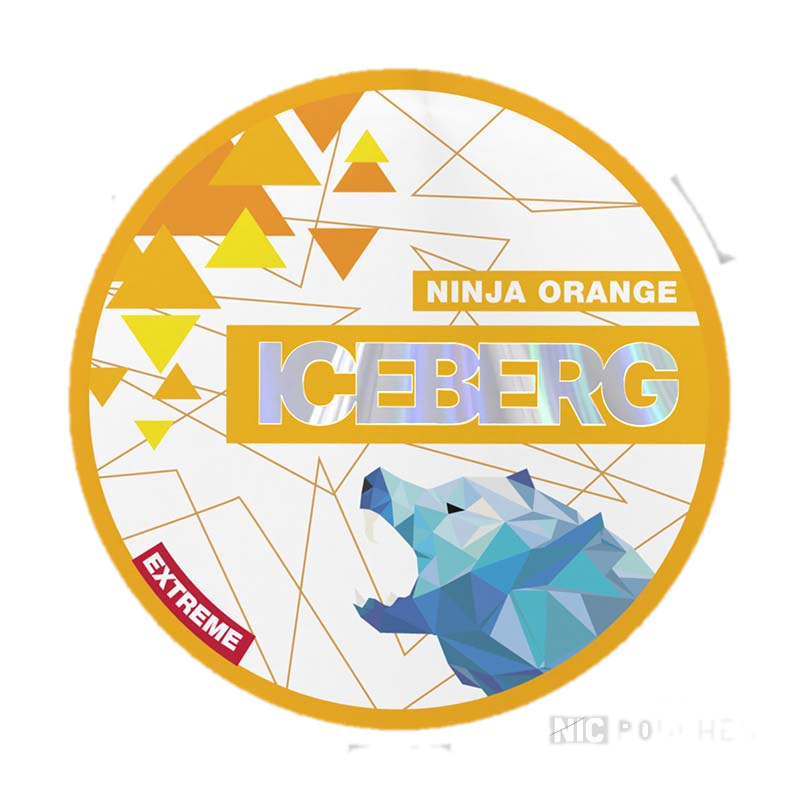 ICEBERG Ninja Orange