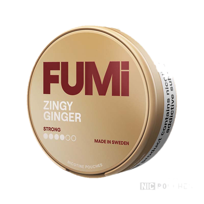 Fumi Zingy Ginger