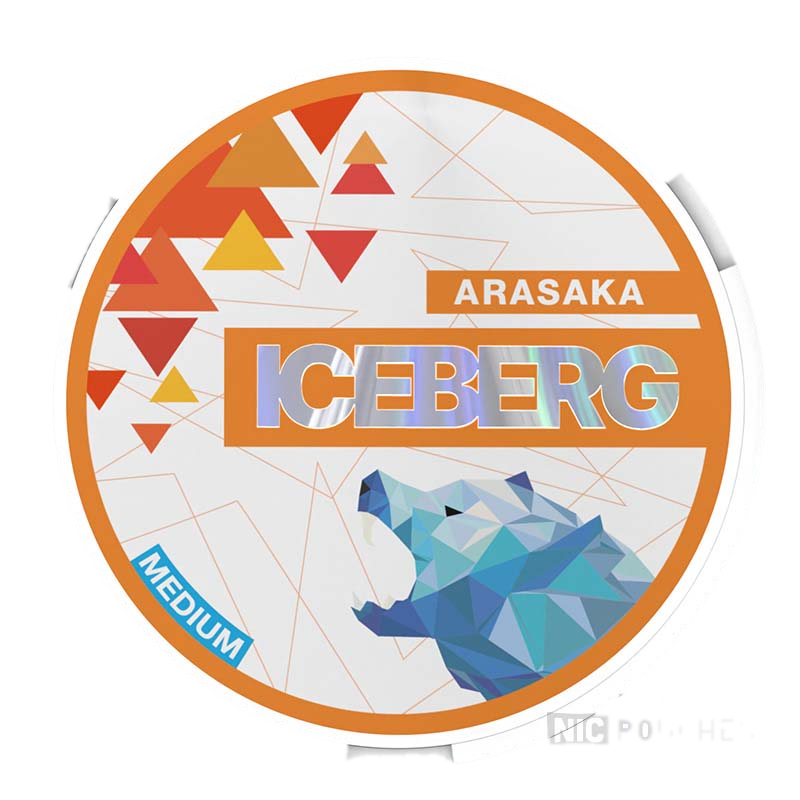 ICEBERG Arasaka Medium