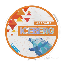 ICEBERG Arasaka Medium