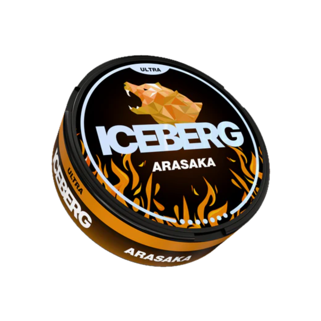 ICEBERG Arasaka