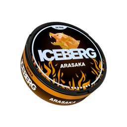ICEBERG Arasaka