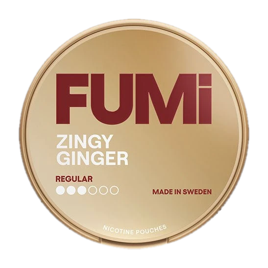Fumi Zingy Ginger