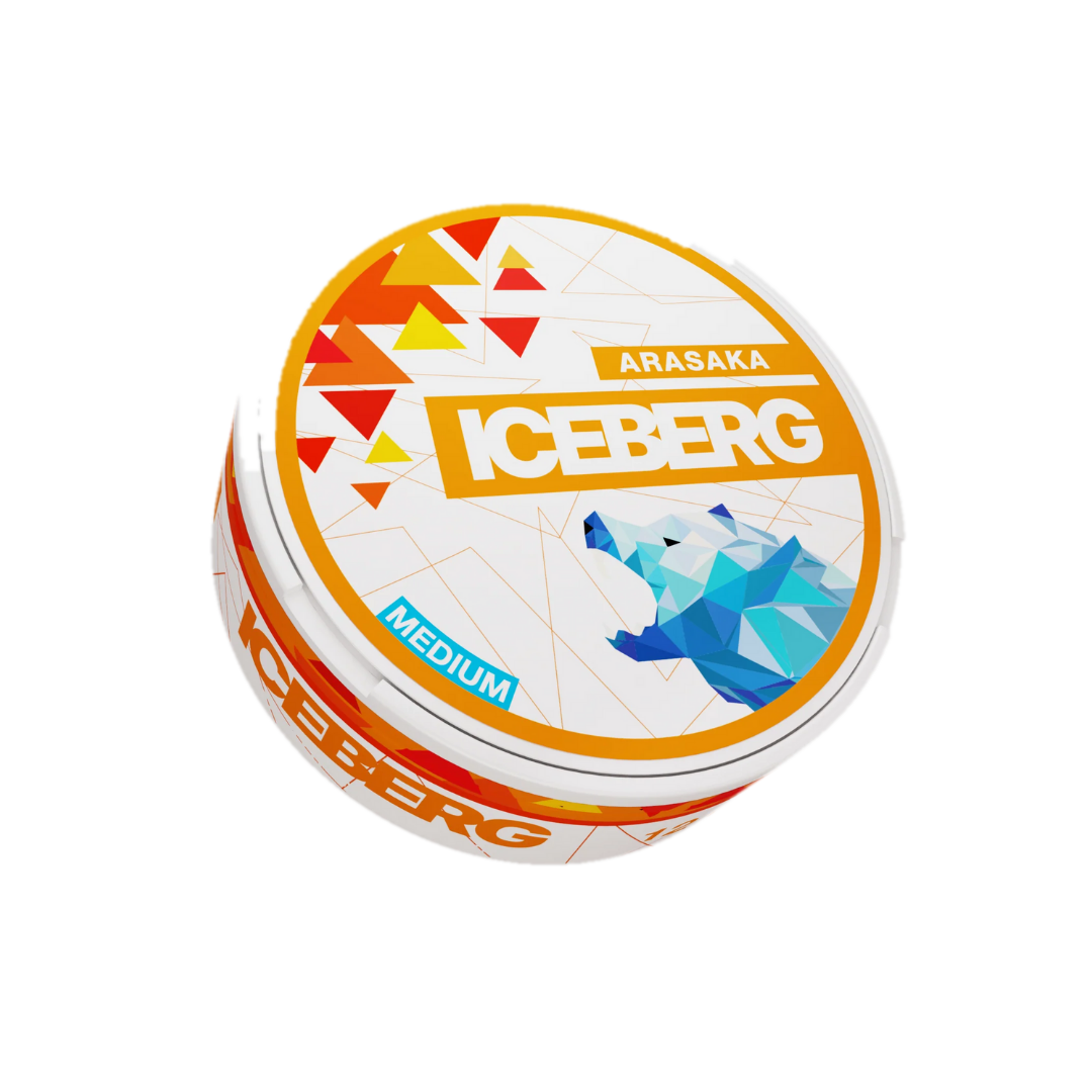 ICEBERG Arasaka