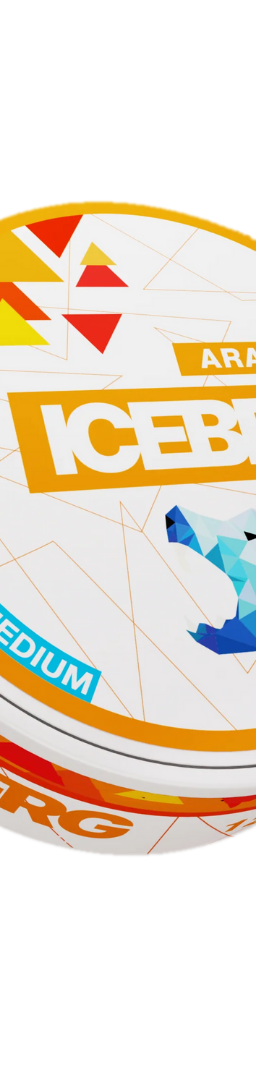ICEBERG Arasaka