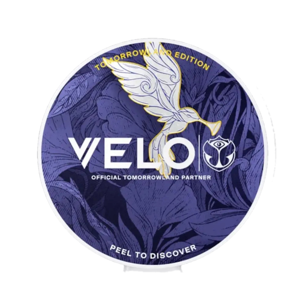 VELO Tomorrowland