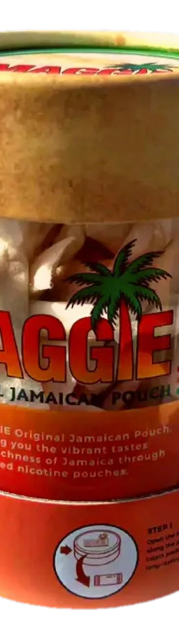 MAGGIE Mega Can