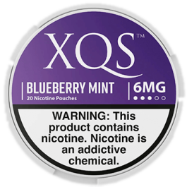 XQS Blueberry Mint