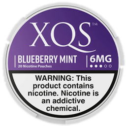 XQS Blueberry Mint