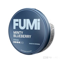Fumi Minty Blueberry
