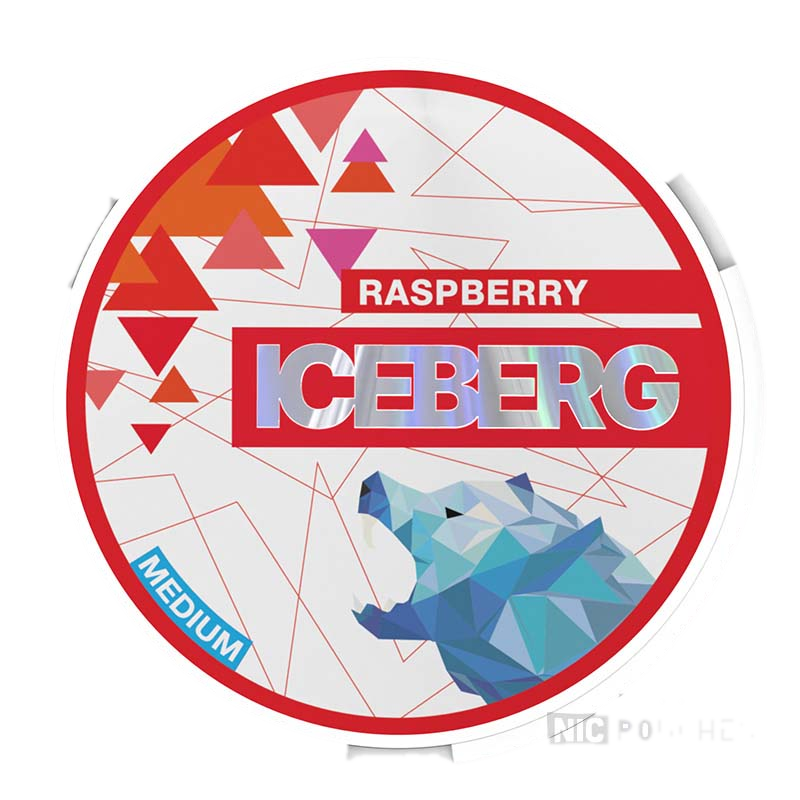 ICEBERG Raspberry
