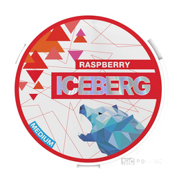 ICEBERG Raspberry