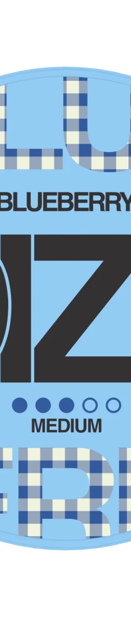 DIZZ Blueberry