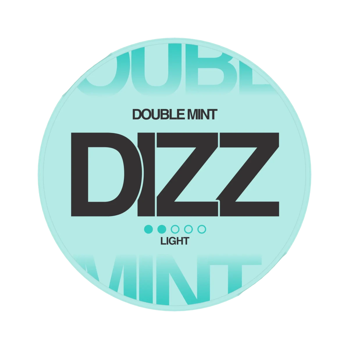DIZZ Double Mint